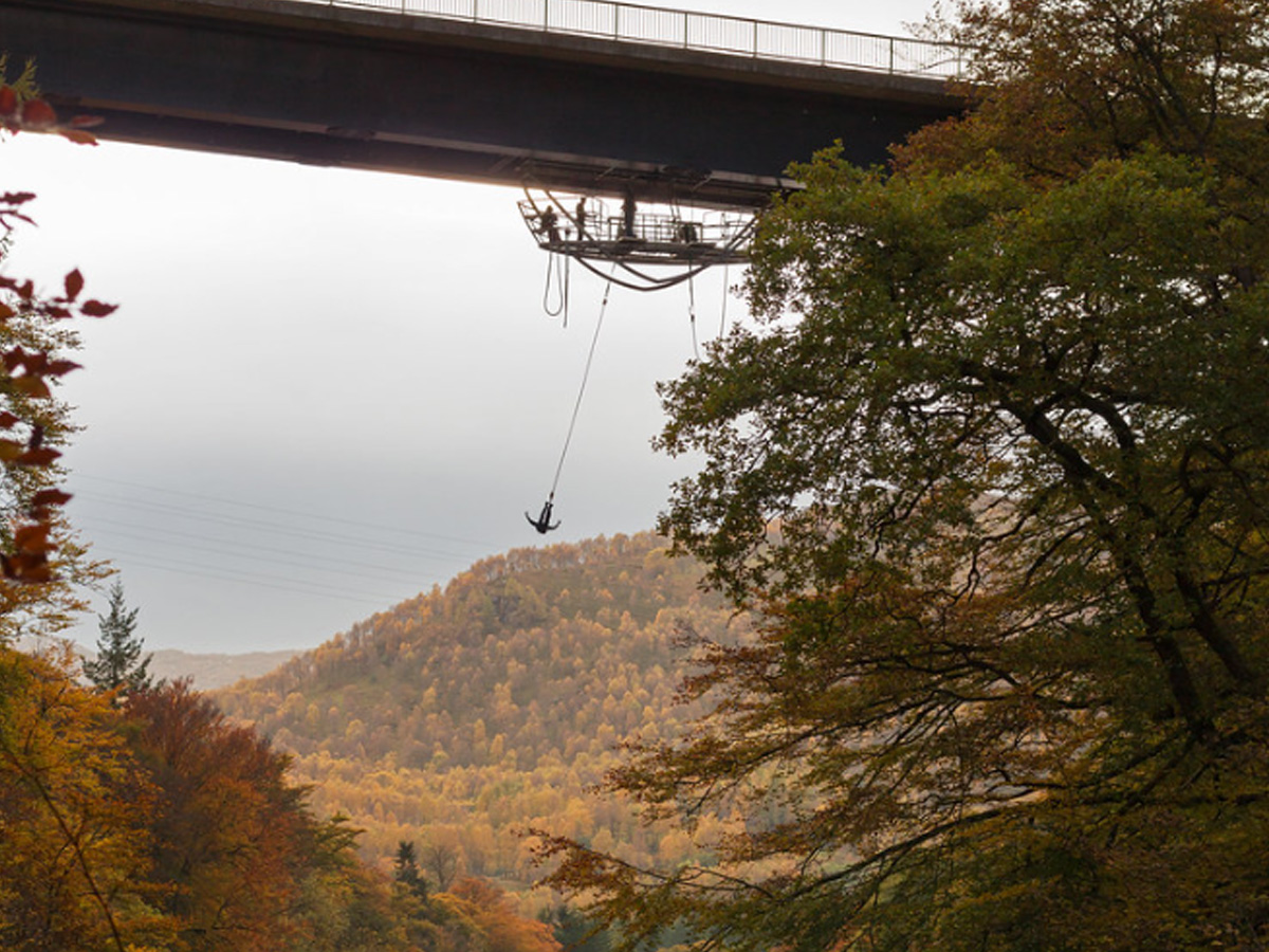 Highland Fling Bungee