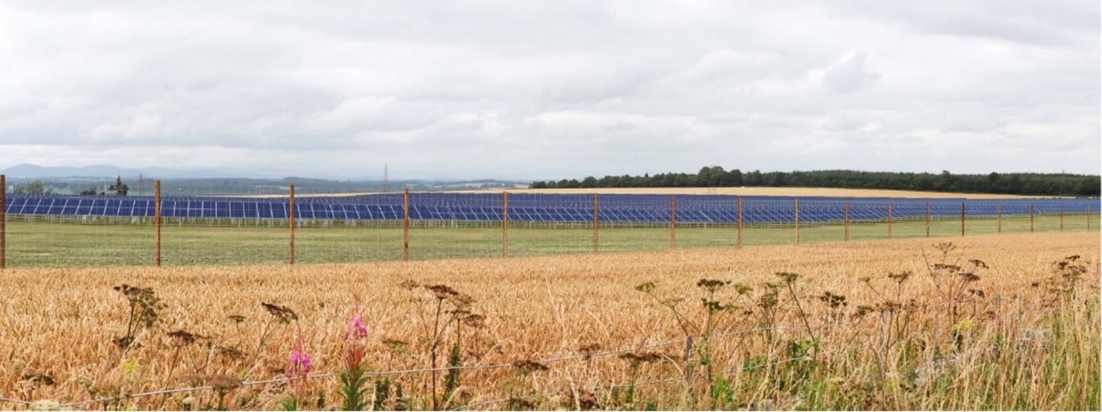 Will Perthshire host one of Scotland’s biggest solar farms?