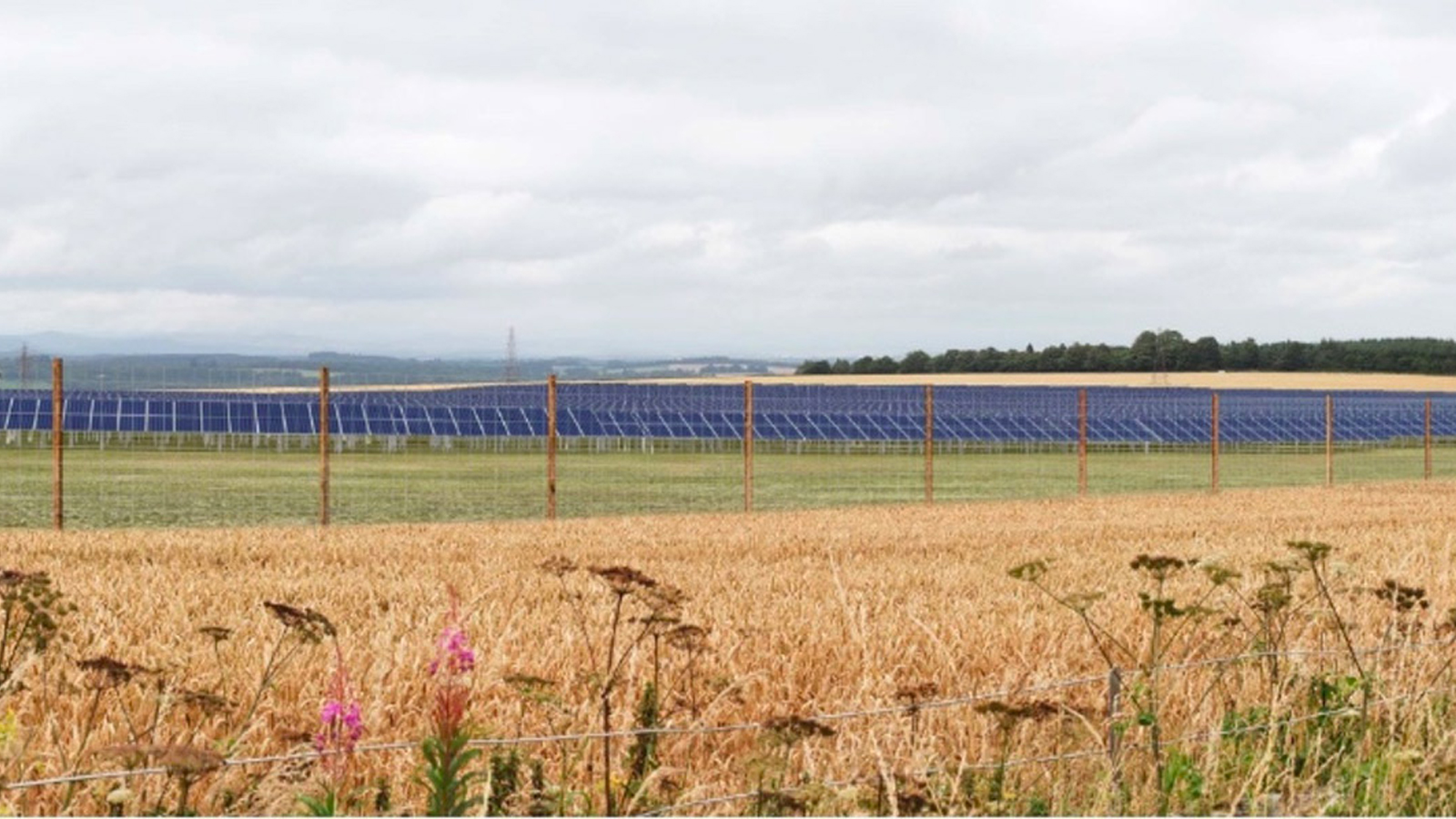 Dupplin proposals dividing opinion