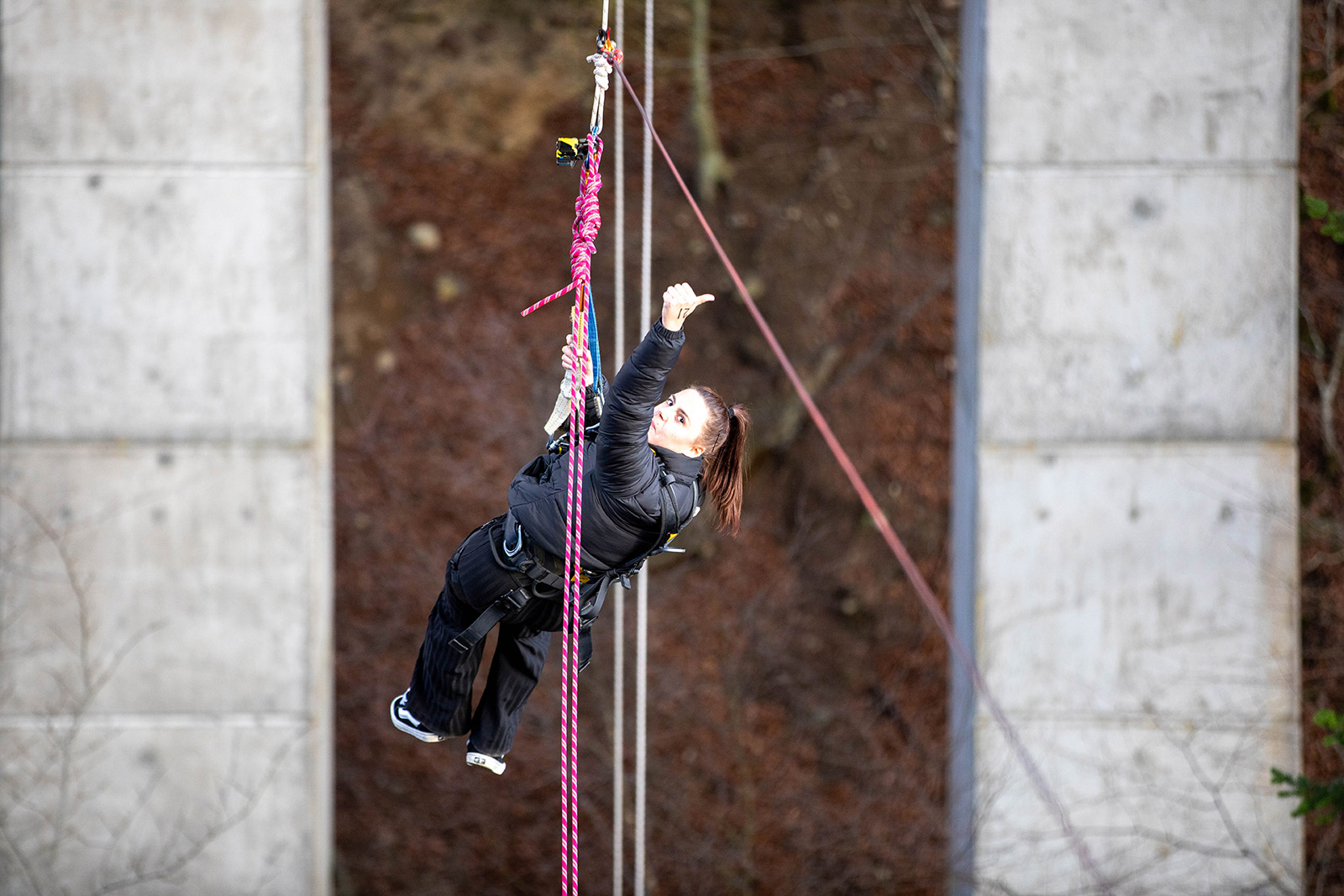 Bungee