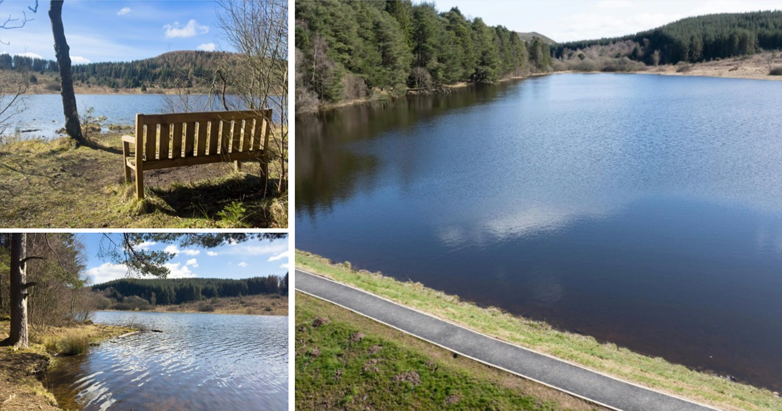 Buy your own Perthshire loch and help save squirrels