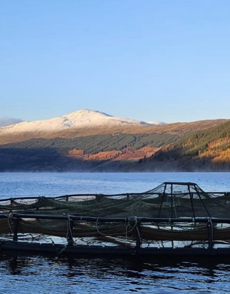 Perthshire Business News