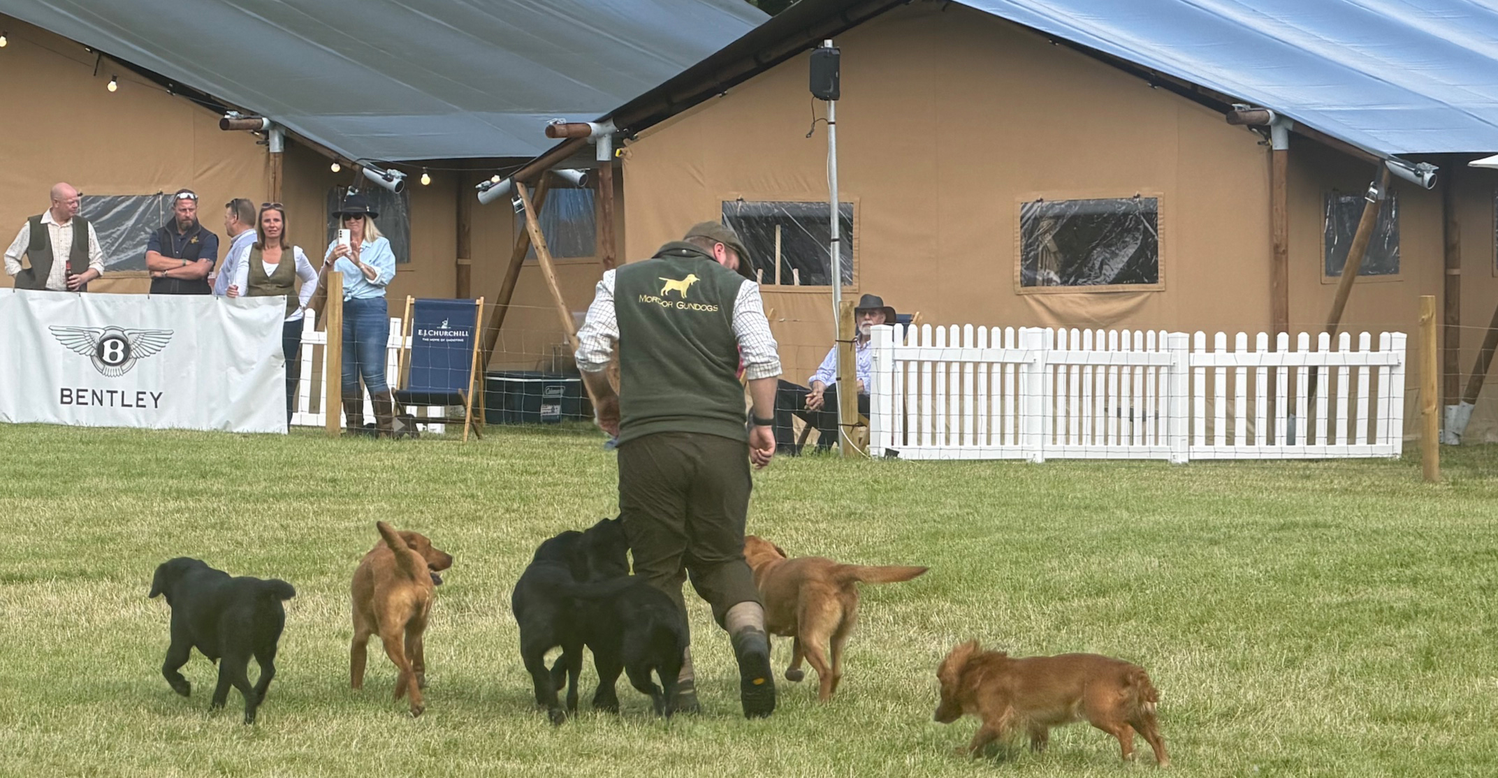 Local community to get new vet practice, saving round trips
