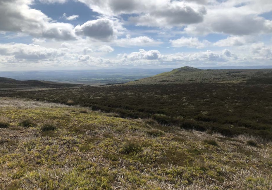 View from the Pods by Sinclair Watt Architects