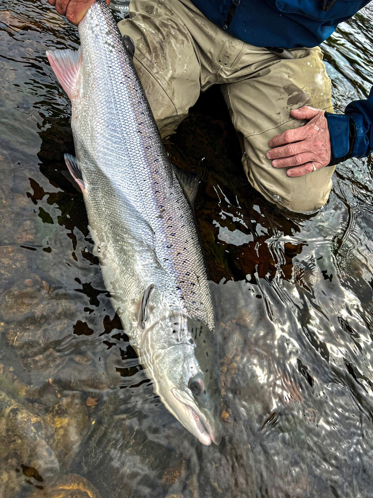 Perthshire News
