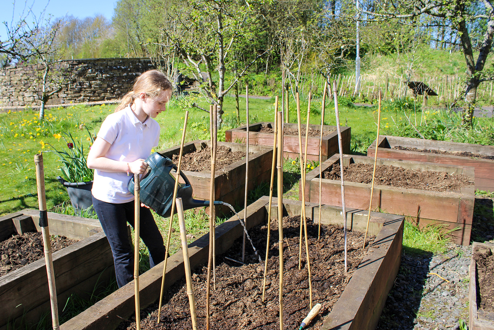 Perthshire shed gurus back outdoor education